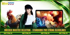 Breeder Rooster Selection - Standards For Strong Bloodlines