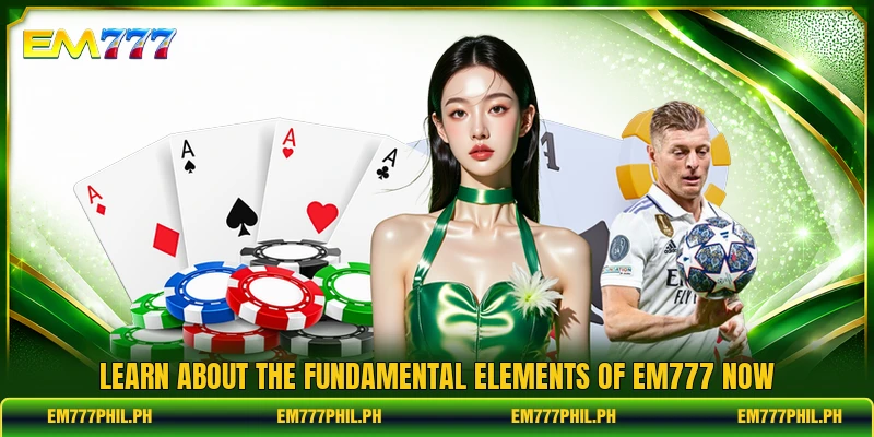 Learn about the fundamental elements of EM777 now