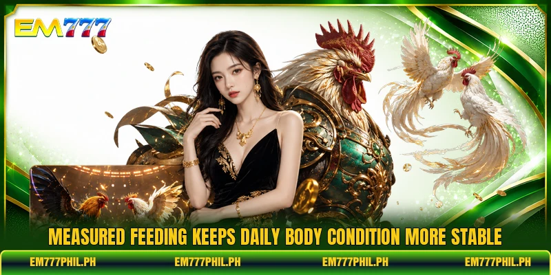 Measured feeding keeps daily body condition more stable