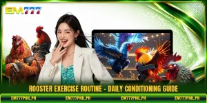 Rooster Exercise Routine - Daily Conditioning Guide